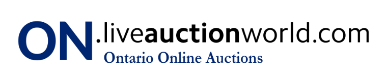 Live Auction World